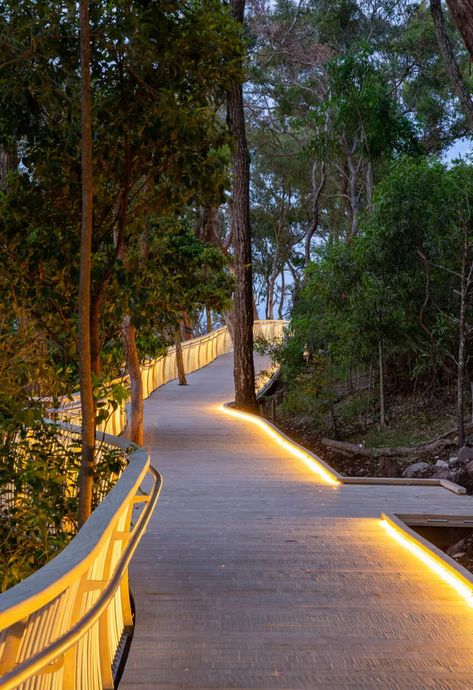 Accoya barefoot friendly boardwalk - Noosa, Australia Noosa Australia, Wooden Walkways, Moving To Australia, Public Seating, Sunshine Coast, Dream Decor, Landscape Lighting, Public Space, Oahu