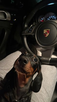 Car Vision Board, Dodge Auto, Car Organizing, Tara Yummy, Organizer Ideas, Dodge Vehicles, Doberman Dogs, Car Exterior Accessories, Aesthetic Japan