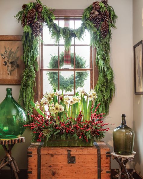 Christmas with Rick Davis and Christopher Vazquez - Flower Magazine Amaryllis Arrangement, Country Cottage Living, Vintage Shutters, Growing Dahlias, Christmas Window Decorations, Enchanted Home, Christmas Greenery, Christmas Window, Vintage Ornaments