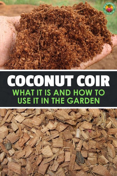 Coconut Coir Mulch, Mushroom Substrate, Survival Knowledge, Microgreens Garden, Hydroponic Greenhouse, Veggies Garden, Victory Gardens, Coco Peat, Grid Ideas