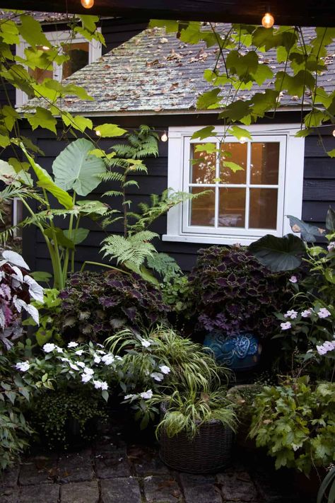 Garden Design Black, Black Flowers Garden, Black Plants Garden, Dark House Landscaping, Goth Garden Design, Gothic Front Yard, Goth Front Porch, Black And White Landscaping, Dark Garden Ideas