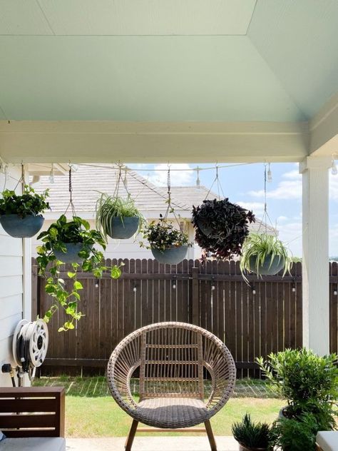 Hanging Plant Balcony, Porch With Hanging Plants, Patio Plant Set Up, Hanging Plants Pergola Patio, Hanging Plants Backyard, Hanging Ferns On Porch Patio, Back Porch Hanging Plants, Good Porch Plants, Hanging Patio Decor