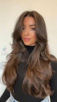 Light Brown Hair Styles, Light Brown Hair Shades, Brown Hair Styles, Old Money Brunette, Brunette Tones, Light Brunette Hair, Brown Hair Inspiration, Rambut Brunette, Light Brunette