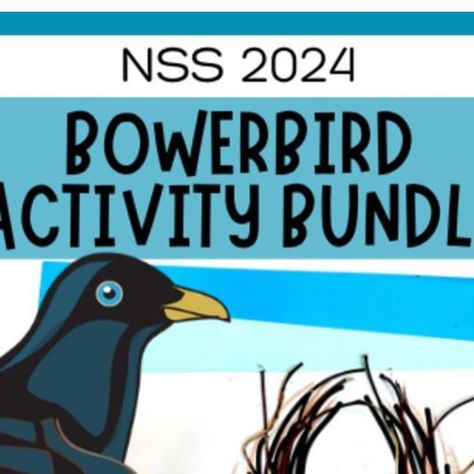 Little Learner Hub on Instagram: "Bowerbird Blues Activity Bundle 🔵 link in bio ⬆️ #bowerbirdblues #nationalsimultaneousstorytime #aussieteachers #aussieteachersofinstagram #nswteachers #victeachers #wateachers #qldteachers" Bowerbird Blues, Book Week, Themed Crafts, Classroom Decorations, Teaching Resources, Fun Activities, Storytelling, Link In Bio, Reading