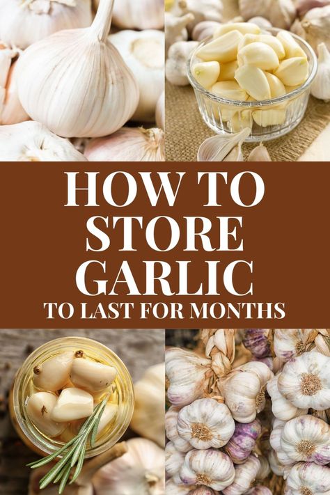 Preserving Garlic, Storing Garlic, Store Garlic, Storing Food Long Term, Garlic Bulbs, How To Store Garlic, Garlic Storage, Storing Vegetables, Storing Fruit