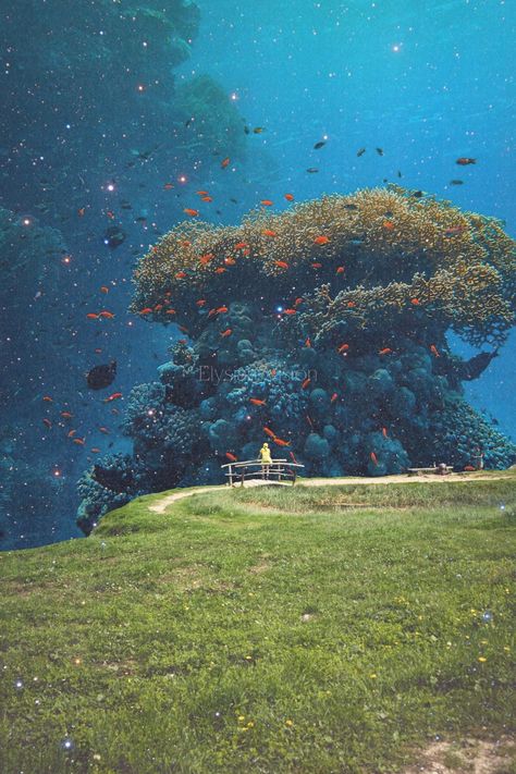 Lost in a sea of dreams digital collage artwork by Elysian Vision. Dreamy Surreal Aesthetic, Underwater Surrealism, Dreamscape Collage, Surrealism Wallpaper, Colorful Surrealism, Dreamcore Art, Retro Surrealism, Dreams Artwork, Aesthetic Fish