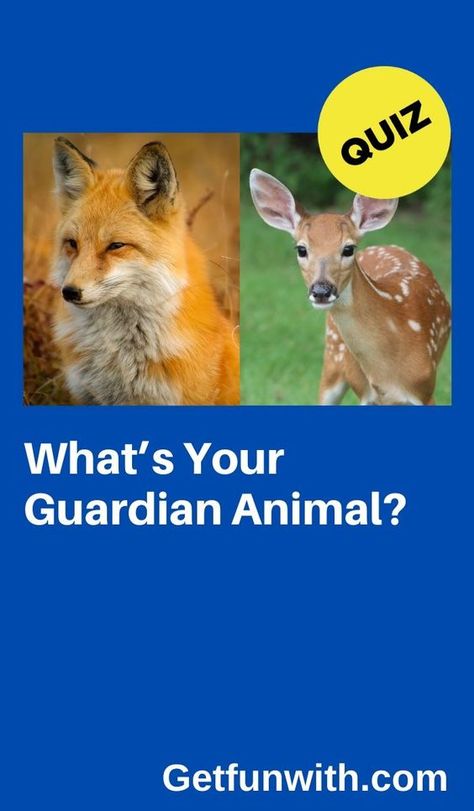 https://www.pinterest.com/pin/636203884882009825/ #quiz #quizzes #buzzfeed #triviaquestionsandanswers #quizzesbuzzfeed #trivia #quizzesforfun #funquiz #spiritanimal Which Animal Are You Quiz, Am I A Therian Quiz, Which Animal Are You, What Animal Am I Quiz, What Animal Am I, What Is My Spirit Animal, Spirit Animal Test, Spirit Animal Quiz, Whats Your Spirit Animal