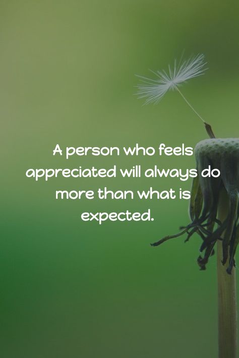 A person who feels appreciated will always do more than what is expected. #appreciation Work Doesnt Appreciate You, Don’t Feel Appreciated Quotes, Being Appreciated, Feel Appreciated Quotes, Appreciate People Quotes, Favourite Persons Quotes, A Person Who Feels Appreciated, Short Poems About Love, Not Appreciated