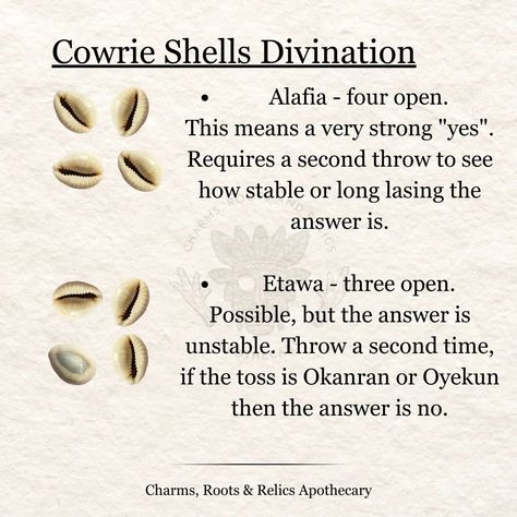 Cowrie shells are quite popular in African cultures as they were one of the earliest forms of currency used by traders up until the 20th century. The Ghanaian currency, Cedi, is named after the cowrie. These timeless and history rich elements have been used by diviners to tap into the ancient knowledge of the ancestors and the Orishas. They are also added to Gris Gris bags to help attract prosperity, wealth and fertility. Note that the divination system shown here is Obi divination and it's... Cowrie Shell Divination, Cowrie Divination, Ifa Divination, African Ancestors, Potion Recipes, Spiritual Cleansing Bath, Yes No Questions, Potions Recipes, Witch Spirituality