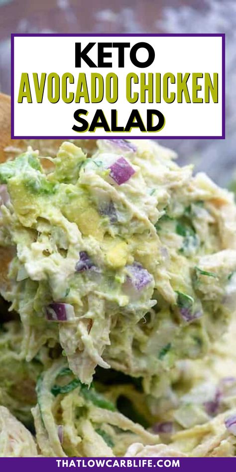 This keto avocado chicken salad is a satisfying dish that combines shredded chicken with creamy avocado, and mayo with spices, all while staying low-carb and keto-friendly. This recipe is quick, simple, and packs in so much flavor from the lime and cilantro. Avocado chicken salad is packed with healthy fat and lean protein! Low Carb Dinner Salads, Chicken And Avocado Recipes, Low Carb Chicken Salad Recipe, Chicken Salad Keto, Keto Chicken Salad Recipe, Chicken Avocado Salad, Low Carb Chicken Salad, Guacamole Chicken, Low Carb Dinner Chicken