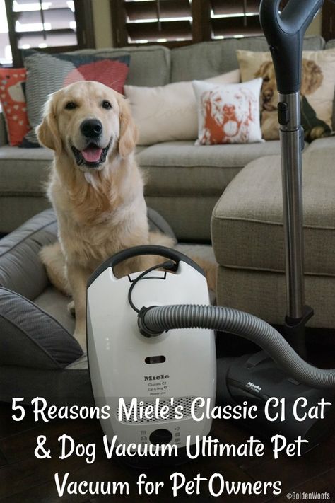 Miele's Classic C1 Cat & Dog Vacuum is the Ultimate Pet Vacuum for Pet Owners Dog Vacuum, Pet Vacuum, Bull Terrier Mix, Staffordshire Bull Terrier, Puppies Funny, Pet Grooming, Pet Owners, Dog Cat, Puppies