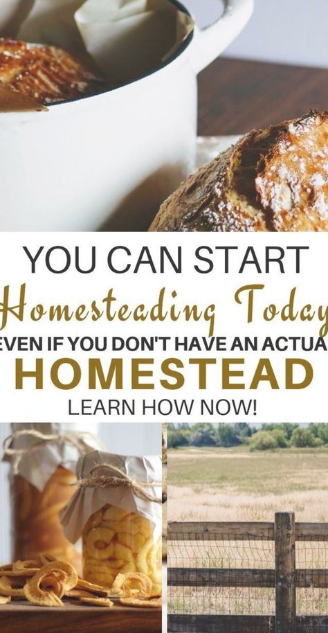 Click now to learn how you can start homesteading TODAY even if you don't have an actual homestead! You don't need a dairy cow and ALL the chickens to be a homesteader; its a mindset! | homesteading for beginners | homesteading ideas | homesteading diy | homesteading ideas self sufficient | homesteading ideas step by step | #homesteading #homesteadingforbeginners #homesteadingtips #homestead Start Homesteading, Homestead Inspiration, Homesteading For Beginners, Diy Homesteading, Self Sufficient Homestead, Happy Homemaking, Modern Homesteading, Homesteading Ideas, Homesteading Diy