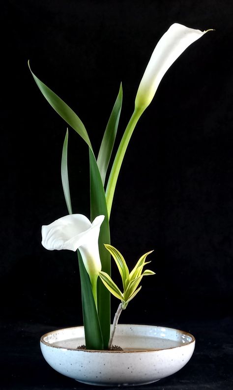 Ohara Ikebana Arrangements, Calla Lily Ikebana, Montage Floral, Art Floral Japonais, Arreglos Ikebana, Medieval Japan, Sogetsu Ikebana, Calla Lily Flowers, Ikebana Arrangements