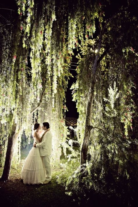 Weeping Willow Wedding Decor, Wedding Under Willow Tree, Wedding Willow Tree, Weeping Willow Wedding, Willow Wedding, Willow Tree Wedding, Wedding Tree Decorations, Tree Pictures, Willow Trees