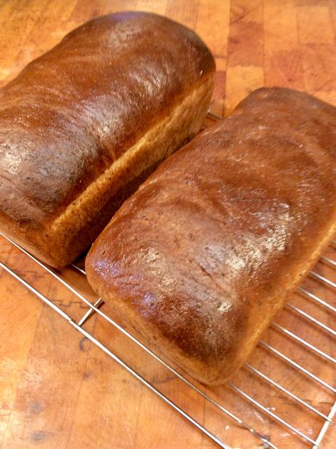 GRANDMA’S BRAN BREAD Bran Bread Recipe, Bran Bread, Bran Cereal, Loaves Of Bread, Tortilla Pizza, Fruit Preserves, Sticky Buns, Family Eating, Family Table