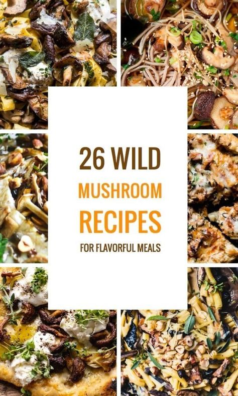 Wild Mushroom Sauce, Mushroom Variety Recipes, Mixed Mushrooms Recipes, Mix Mushroom Recipes, Wild Oyster Mushrooms Recipe, King Mushrooms Recipe, Dried Wild Mushroom Recipes, Assorted Mushrooms Recipe, Chef Sampler Mushroom Recipes