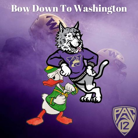 The University of Washington Huskies beat the Oregon Ducks 37 ~ 34 today. Go Dawgs! 🐾 • • • #collegefootball #godawgs #gohuskies🐾 #gohuskies #huskynation #huskies #makeitreign #makeitreignagain #ncaa #ncaafootball #oregonducks #oregonducksfootball #pnwsports #pnw #pac12football #pac12hoops #pac12 #pac12fb #PurpleReign #purplereign☔️ #pac12wbb #uofw #udub #universityofwashington Washington Huskies Football, Uw Huskies, Huskies Football, College Tennis, University Of Washington Huskies, Go Dawgs, Oregon Ducks Football, College Baseball, College Soccer