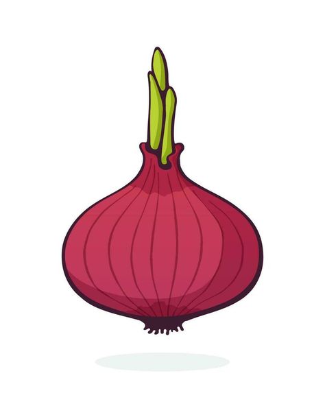 Cartoon illustration of bulb of red onion with green sprout. Healthy vegetarian food. Ingredient for salad Onion Illustration, Onion Cartoon, Onion Drawing, Healthy Vegetarian Food, Salad Salad, Food Ad, Create This Book, Vegetarian Food, Vegetarian Recipes Healthy