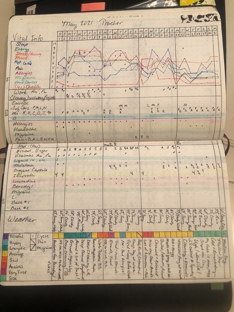 Tracking Journal Ideas, June Bujo, Bujo Tracker, Bujo Trackers, Ryder Carroll, Journal Tracker, Bullet Journal Ideas Templates, Buch Design, Planner Diary