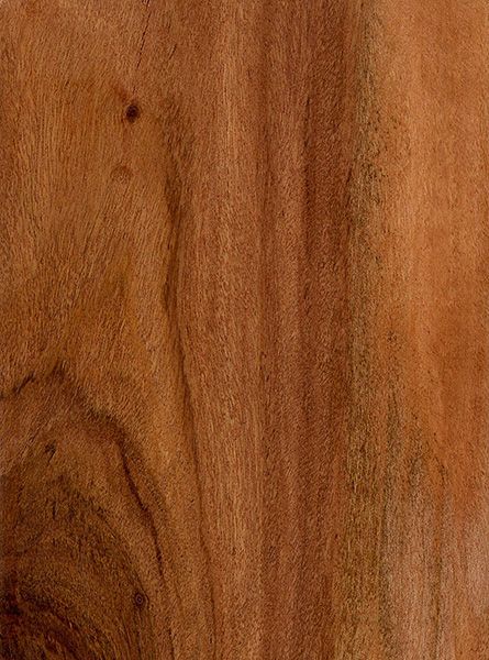 Rhodesian Teak (sealed) Teak Wood Interior Design, Mid Century Modern Materials, Lightweight Architecture, Teak Wood Texture, Timber Texture, Eid Song, Wood Swatches, Teak Floor, Warm Wood Tones