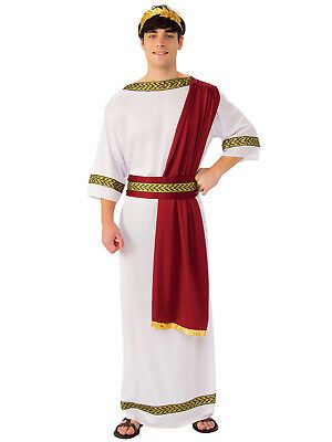 Toga Fancy Dress, God Costume, Greek God Costume, Roman Costume, Greek Costume, Goddess Costume, Womens Fancy Dress, Roman Emperor, Greek God