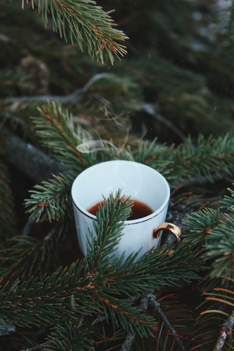 Coffee Winter Aesthetic, Winter Coffee Photography, Christmas Coffee Aesthetic, Winter Coffee Aesthetic, Coffee Winter, Coffee Review, A Level Photography, Coffee Books, Coffee Shot