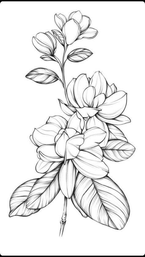 sampaguita tattoo | Flower tattoo drawings, Beautiful flower tattoos, Magnolia tattoo Flower Drawing Tattoo Sketches, Tattoo Sketches Flower, Flower Tattoos Magnolia, Gardenia Flowers Tattoo, Gardenias Drawing, Gardenia Tattoo Sleeve, Gardenia Tattoo Design, Flower Tattoos Linework, Gardenia Outline