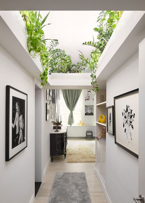 Ledge Planter Ideas, Home Ledge Decor, High Ceiling Plants, Plants On A Ledge, Plants In Stairwell, Bedroom Ledge Decor, Ceiling Ledge Decor Ideas, Vaulted Ceiling Ledge Decor, Plant Ceiling Decor