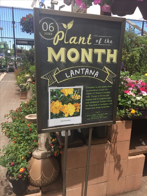 Signs - Colorful, professional signage, creates sale section, provides ideas solutions and growing tips "Lead the way." Garden Center Magazine. N.p., 29 Sept. 2016. Web. 04 Feb. 2017. Garden Center Ideas Display, Plant Nursery Signage, Garden Store Ideas, Garden Center Displays Nurseries, Garden Center Merchandising, Plants For Sale Sign, Garden Center Signage, Flower Shop Signage, Garden Center Displays Retail Ideas