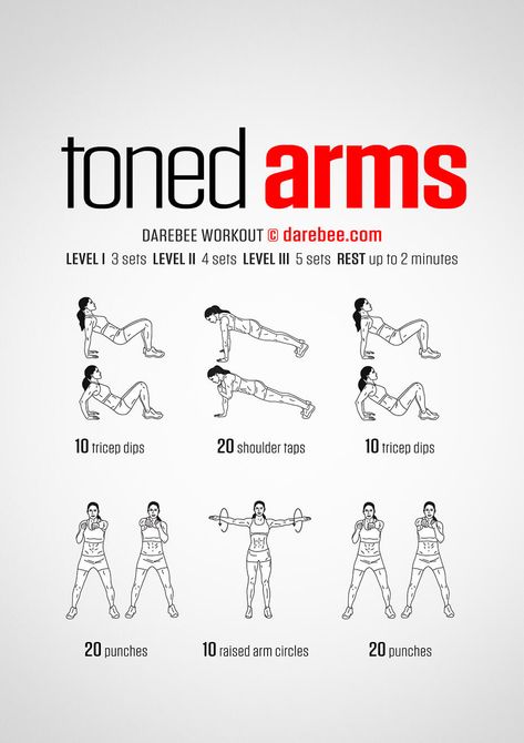 Super effective workout plan for women. easy to do at home workouts for beginners. Full body with no weights. Quick results. #tonearms #summer #flabbyarms Arm Workout Darebee, Arm And Thigh Workout, Exercises For Arms With Weights, Exercises For Arm Strength, Toning Arm Workouts For Women, Muscles Exercise For Women, Arm Workout Women For Muscle, Exercise For Beginners Arms, Workouts For Toned Legs And Arms