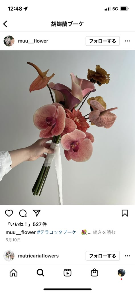 Orchid Bouquet Wedding, Orchid Bouquet, Boquette Flowers, Orchid Wedding, Hand Bouquet, Small Bouquet, Flower Therapy, Beautiful Bouquet Of Flowers, Bouquet Of Flowers