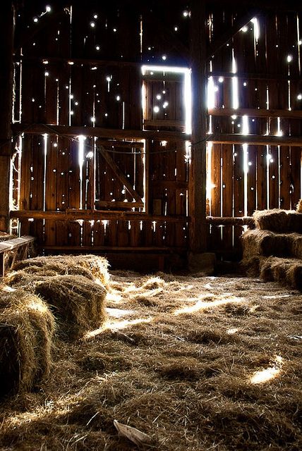 2da4474e35c7d0eff11519ecd9de80e7 by smugglersite, via Flickr A Well Traveled Woman, Country Barns, Hay Bales, Farm Barn, Farms Living, Down On The Farm, A Barn, Old Barns, Old Barn