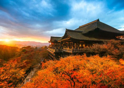 Kyoto Autumn: 10 Best Places & Times For Fiery Fall Foliage in the Ancient City (2020) | LIVE JAPAN travel guide Japan Autumn, Live In Japan, Beppu, Gyeongju, Tokushima, Kiyomizu Dera, Yamanashi, Aomori, Jeonju