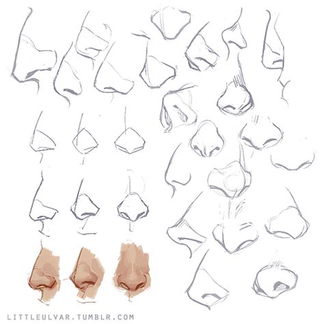 http://littleulvar.tumblr.com/post/82092386911/any-tips-for-nose-drawing 얼굴 드로잉, Nose Drawing, 얼굴 그리기, Anatomy Sketches, Drawing Style, Anatomy Drawing, Figure Drawing Reference, Body Drawing, Anatomy Art