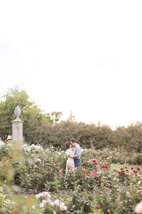 Rose Garden Proposal, Engagement Photoshoot Flowers, Garden Photoshoot Engagement, Engagement Shoot Flowers, Secret Garden Engagement Photos, Rose Garden Wedding Photos, Rose Garden Family Photoshoot, Engagement Photos Flower Garden, Romantic Garden Photoshoot