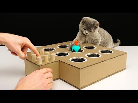 How to Make a Whack-A-Mole Game for Your Cat How To Make A Cat Scratching Post, Cat Toys Diy Easy How To Make, How To Make A Cat Toy, Wack A Mole Game Diy, Diy Cat Toys Easy Cardboard Boxes, Diy Whack A Mole Game, Diy For Pets, Cardboard Cat Toys, Cat Toy Diy