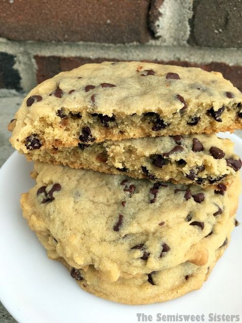 Copycat Panera Chocolate Chipper Chip Cookies Panera Recipes, Copycat Panera, Panera Bread, Cat Recipes, Cookies Recipes Chocolate Chip, Vegetarian Chocolate, Restaurant Recipes, Copycat Recipes, Chip Cookies