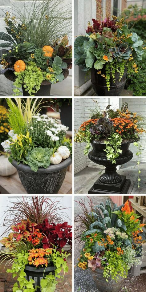 Attractive Fall Planters to Showcase the Colors of Autumn - The Pauline Fall Planter Boxes Front Porches, Mums In Urns, Fall Floral Outdoor Planters, Fall To Winter Planters Front Porches, Fall Planter Box Ideas Front Porches, September Planter Ideas, Fall Front Door Flower Pots, Autumn Outdoor Planter Ideas, Autumn Garden Centre Displays