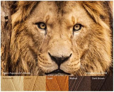 MB King Lion Eyes, Yarn Color Combinations, Lion Pictures, Color Palette Design, Color Harmony, Beautiful Color Combinations, Colour Board, Colour Schemes, Color Pallets