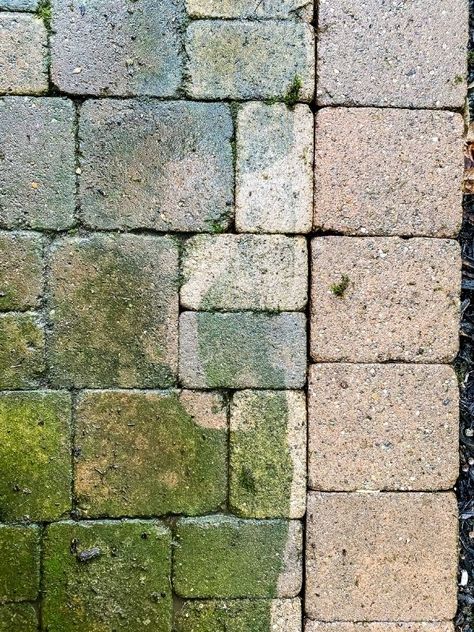 How To Clean Pavers Patio, Cheap Paver Patio Ideas, Cleaning Pavers, How To Clean Stone, Pavers Patio, Concrete Paver Patio, Cement Pavers, Patio Blocks, Clean Concrete