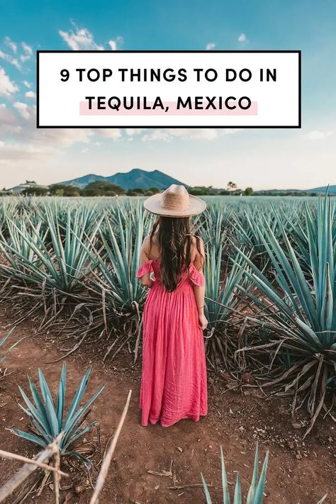 There are a few things you absolutely must do when visiting Tequila, Jalisco. Drink tequila, of course! Visit a distillery and visit the farms where it’s made to see how this iconic Mexican spirit is made. Eat- popping into cantinas, and tasting agua calientes, charro, and mole! Bring comfortable shoes as you’ll likely be walking a lot on the cobblestone streets while taking in the colonial architecture and vibrant culture. With this guide, you’ll have the perfect vacation in Tequila! Tequila Mexico Outfit Women, Tequila Outfit Ideas, Tequila Tour Guadalajara Outfit, Outfits For Tequila Jalisco, Tequila Tasting Outfit, Tequila Guadalajara Outfit, Jalisco Fashion, Outfit Para Tequila Jalisco, Tequila Mexico Outfit