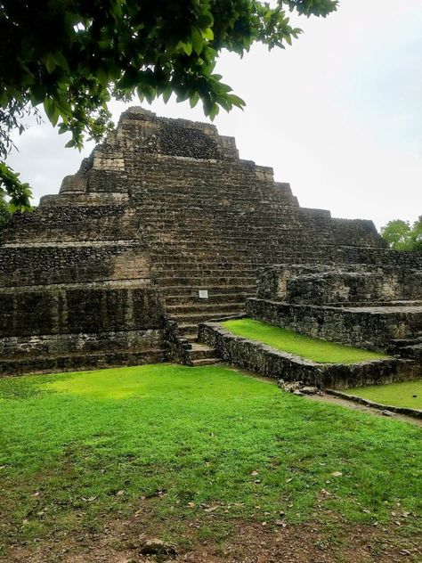 Chacchoben Mayan Ruins Mexico Ruins In Mexico, Mayan Ruins Mexico, Mexico Ruins, Coba Mexico, Cruise Vibes, Costa Maya, Mayan Ruins, South America, Mexico