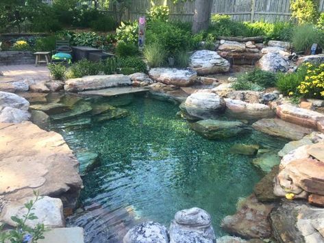 Ideas De Piscina, Swimming Pool Pond, Natural Swimming Ponds, Small Pond, Swimming Pond, Natural Pond, Desain Lanskap, Natural Swimming Pools, Piscina Natural