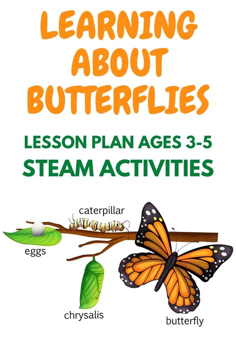 Steam Lesson Plans Preschool, Monarch Butterfly Lesson Plans, Butterfly Theme For Preschool, Preschool Life Cycle Of A Butterfly, Life Cycle Of A Butterfly Lesson Plan, Butterflies Lesson Plans Preschool, Caterpillar Lesson Plans Preschool, Butterfly Cycle Activities, Learning About Butterflies