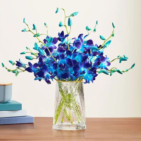 Get 10 Dendrobium orchids and clear vase for only $66.99 (reg. $71.99) at 1800flowers.com. You save 7% off the retail price for these tropical orchids. Free shipping is offered for Passport members. The Ocean Breeze Orchids feature shades of blue orchids with a clear textured glass Highland vase. Sales tax is charged in most states. […] The post Ocean Breeze Orchids first appeared on Frugal Buzz. Ocean Breeze Orchids, Blue And Purple Orchids, Blue Orchid Wedding, Tropical Flower Arrangements, Purple Vase, Tropical Ocean, Clear Vase, Dendrobium Orchids, Orchid Arrangements