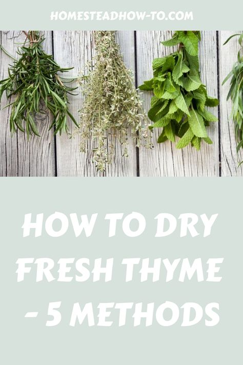 Thyme is such a wonderful herb to grow in your garden. It makes the perfect addition to a variety of dishes including soups and stews. Drying thyme preserves it for later use - allowing you Uses For Thyme, Drying Thyme, Coconut Milk Soup, Medical Herbs, Roasted Butternut Squash Soup, Classic Italian Dishes, Homemade Tomato Sauce, Dried Apples, Homemade Seasonings