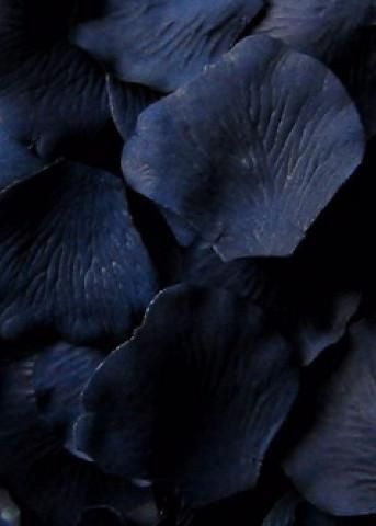 Loose silk rose petals in stunning navy blue. Perfect for decorating table tops or to be used for flower girl baskets. Navy Blue 1.75-2.25" Wide Petals Silk 100 per Bag Petal Decor Guidelines Fake Rose Petals, Silk Rose Petals, Wedding Petals, Silk Flowers Wedding, Prussian Blue, Silk Rose, Navy Blue Wedding, Fabric Roses, Silk Roses