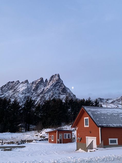 Norwegian Winter Aesthetic, Norway Winter Aesthetic, Norway Aesthetic Winter, Norway Cottage, Norway Aesthetic, Norway Lofoten, Aesthetic Mountains, Norway Winter, Norway Nature