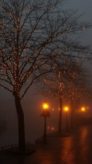 Reka Bentuk Dalaman, Autumn Magic, Dark Autumn, Night Scenery, Rainy Night, Autumn Night, Autumn Scenery, Best Seasons, Fall Pictures