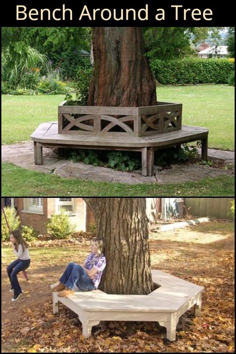 Bench Around A Tree, Bench Around Trees, Simple Garden Furniture Ideas, Garden Diy Furniture, Landscaping Around Trees, Tree Project, Tree Bench, Diy Garden Furniture, Bench Designs